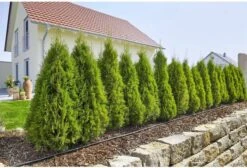 GARDENA Micro Drip System Startset L Druppelsysteem - 50 Meter -Best Garden Tools Store 1200x814 2