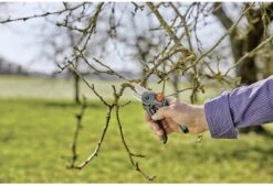 GARDENA - ExpertCut - Snoeischaar - 22 Diameter Tak -Best Garden Tools Store 1200x815 8