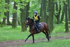 Aqua2Go GD86 Staand Electrische Pressure Washer - 20 Liter Tank - Afneembare Pomp -Best Garden Tools Store 1200x817 1