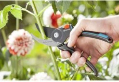 GARDENA Comfort B/M Bypass Snoeischaar - Ø 24mm - Met Sapgeul -Best Garden Tools Store 1200x822 3