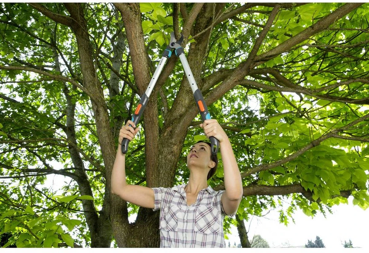 GARDENA - TeleCut Telescopische - Takkenschaar 520-670B - 42 Mm Verstelbare Lengte 8 GARDENA - TeleCut Telescopische - Takkenschaar 520-670B - 42 Mm Verstelbare Lengte - Image 8