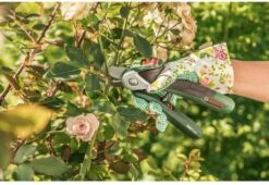 Bosch EasyPrune Accu Snoeischaar - 3.6 V Accu - USB -Best Garden Tools Store 1200x825 28