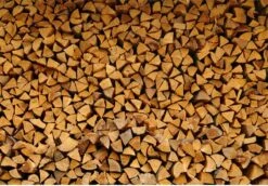 Steko Houtsplijter Voor Grote Blokken - Voor Aanmaakhout & Brandhout - Houtklover - Houtkliever - Splijtwig - Handmatig - Overal Te Gebruiken 1605 Gram - Metaal - Kloofwig - HOGE VOLUMEKORTING 8 Steko Houtsplijter Voor Grote Blokken - Voor Aanmaakhout & Brandhout - Houtklover - Houtkliever - Splijtwig - Handmatig - Overal Te Gebruiken 1605 Gram - Metaal - Kloofwig - HOGE VOLUMEKORTING -Best Garden Tools Store 1200x837 2