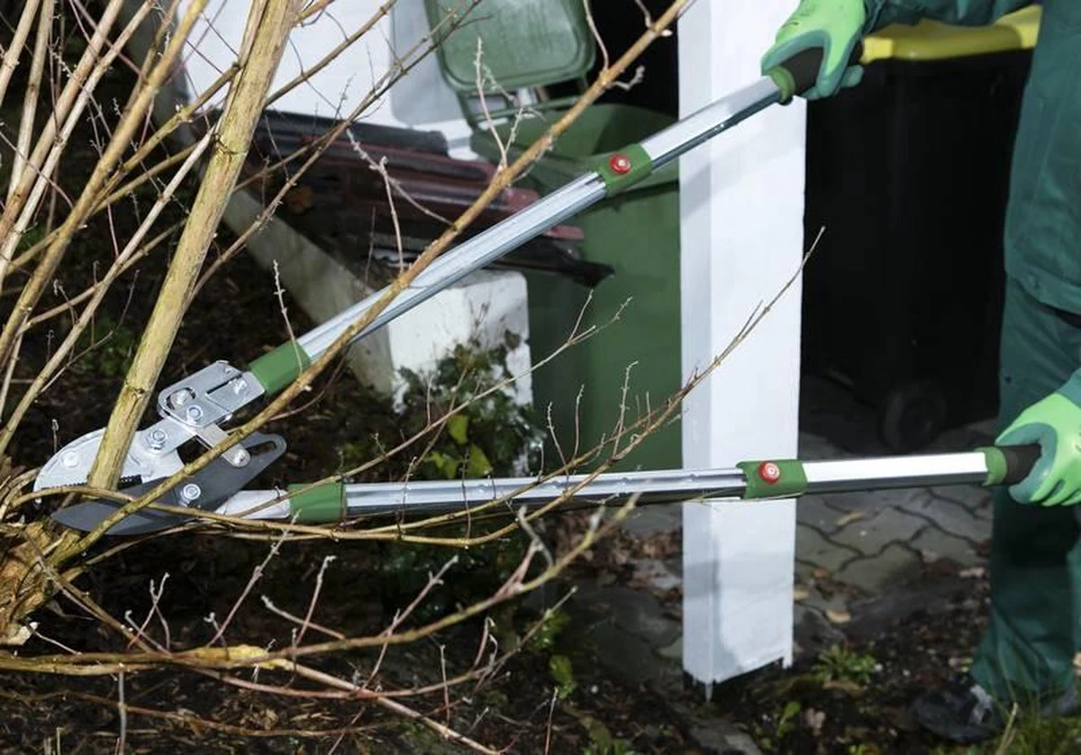 Telescopische Takkenschaar, 6-voudig 2 Telescopische Takkenschaar, 6-voudig - Image 2