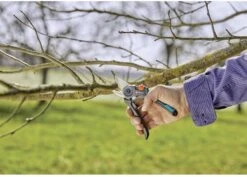 GARDENA - ExpertCut - Snoeischaar - 22 Diameter Tak -Best Garden Tools Store 1200x859 5