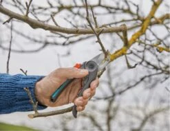 GARDENA - ExpertCut - Snoeischaar - 22 Diameter Tak -Best Garden Tools Store 1200x929 5