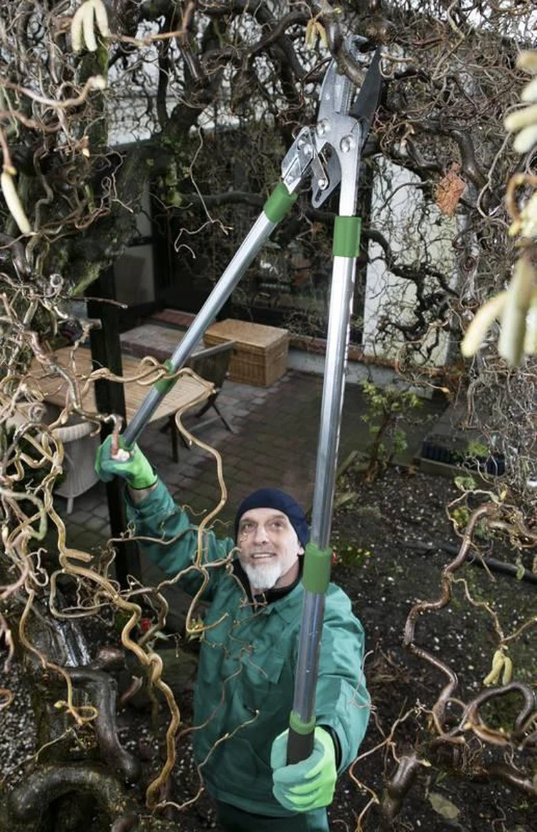 Telescopische Takkenschaar, 6-voudig 3 Telescopische Takkenschaar, 6-voudig - Image 3