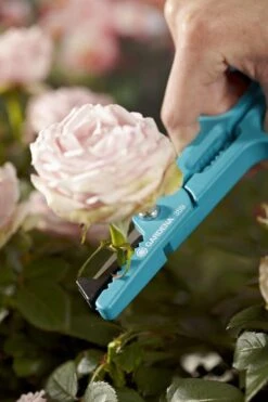GARDENA Multifunctionele Bloemenschaar Snoeischaar - Lengte 210 Mm - RVS Messen 7 GARDENA Multifunctionele Bloemenschaar Snoeischaar - Lengte 210 Mm - RVS Messen -Best Garden Tools Store 799x1200 93