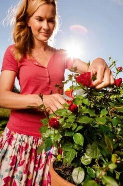 WOLF-Garten Snoeischaar "Premium Plus" RR 4000 - Max. Knipdiameter 22 Mm - Links- En Rechtshandige - Softinleg Handgreep - Snijhoek 30° - Voor Grote Handen - Vervangbare Messen -Best Garden Tools Store 799x1200 94