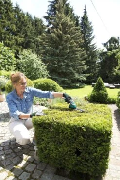 Bosch ISIO Gen III Accu Buxusschaar + Grasschaar -Best Garden Tools Store 800x1200 127