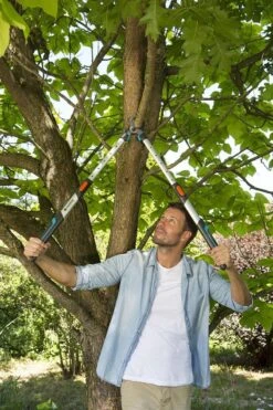 Gardena TeleCut Takkenschaar 650-900 B - Uitschuifbare Armen - Tot Max 90 Cm -Best Garden Tools Store 800x1200 130