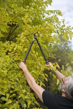 Kreator KRTGR4001 Takkenschaar - 650mm 6 Kreator KRTGR4001 Takkenschaar - 650mm -Best Garden Tools Store 800x1200 133