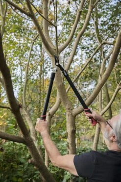 Kreator KRTGR4001 Takkenschaar - 650mm 7 Kreator KRTGR4001 Takkenschaar - 650mm -Best Garden Tools Store 800x1200 134