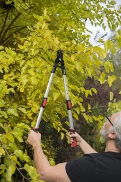 Kreator KRTGR4013 Telescopische Takkenschaar - 63-89 Cm Totale Lengte - . Ø39 Mm Knipdiameter -Best Garden Tools Store 800x1200 135