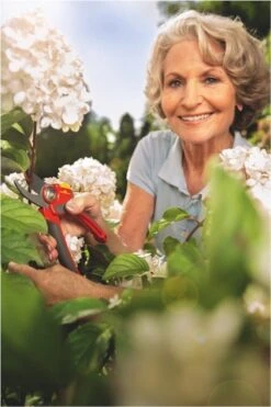 WOLF-Garten Snoeischaar "Premium Plus" RR 4000 - Max. Knipdiameter 22 Mm - Links- En Rechtshandige - Softinleg Handgreep - Snijhoek 30° - Voor Grote Handen - Vervangbare Messen -Best Garden Tools Store 800x1200 136