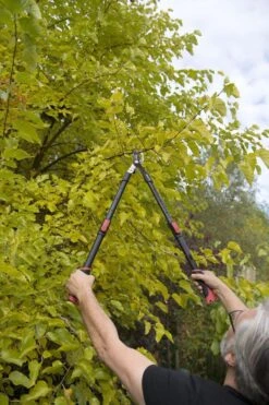 Kreator KRTGR4003 Telescopische Takkenschaar – Jong Hout - Knipdiameter: Ø34 Mm -Best Garden Tools Store 800x1200 7