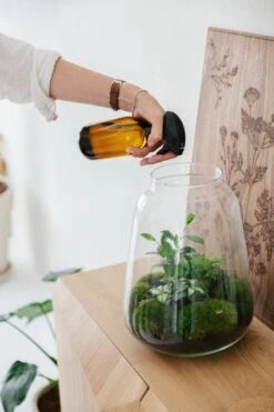 24DOTS Living Plantenspuit | 500 Ml Bruin Amber Glas | Plantensproeier | Plantenspuit Binnen | Waterverstuiver | Vernevelaar -Best Garden Tools Store 800x1200 79