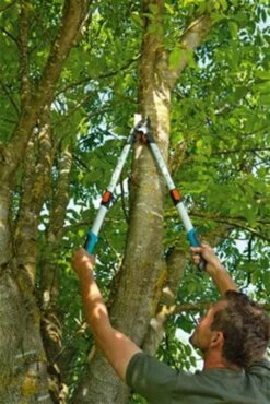 Gardena TeleCut Takkenschaar 650-900 B - Uitschuifbare Armen - Tot Max 90 Cm -Best Garden Tools Store 801x1200 20