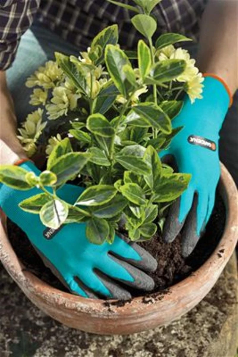Gardena Plant- En Bodem Handschoen - Maat: M 5 Gardena Plant- En Bodem Handschoen - Maat: M - Image 5