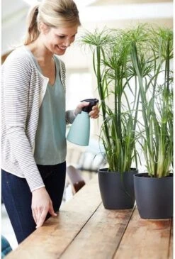 Elho Brussels Sprayer 12 - Plantenspuit Voor Binnen - Ø 11.3 X H 22.3 Cm - Groen/Mint -Best Garden Tools Store 813x1200 3