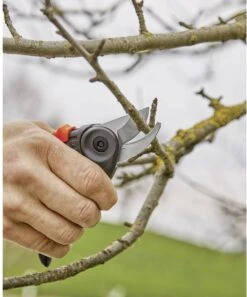 GARDENA - ExpertCut - Snoeischaar - 22 Diameter Tak -Best Garden Tools Store 999x1200 1