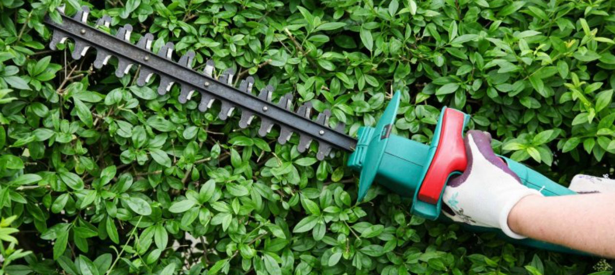 Best Garden Tools Store -Best Garden Tools Store GHJGHJ